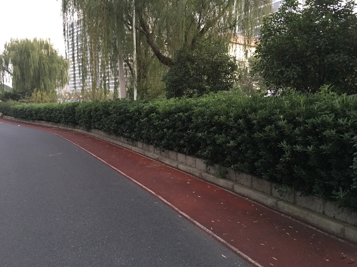 天地軟件園市民健身步道二