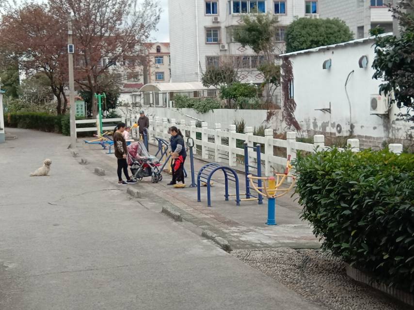 鹿溪村9組健身點