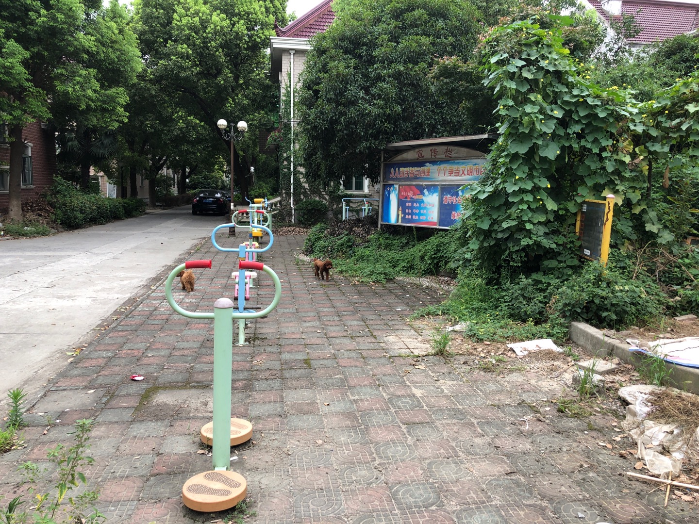 銀杏居委紀豐苑健身點