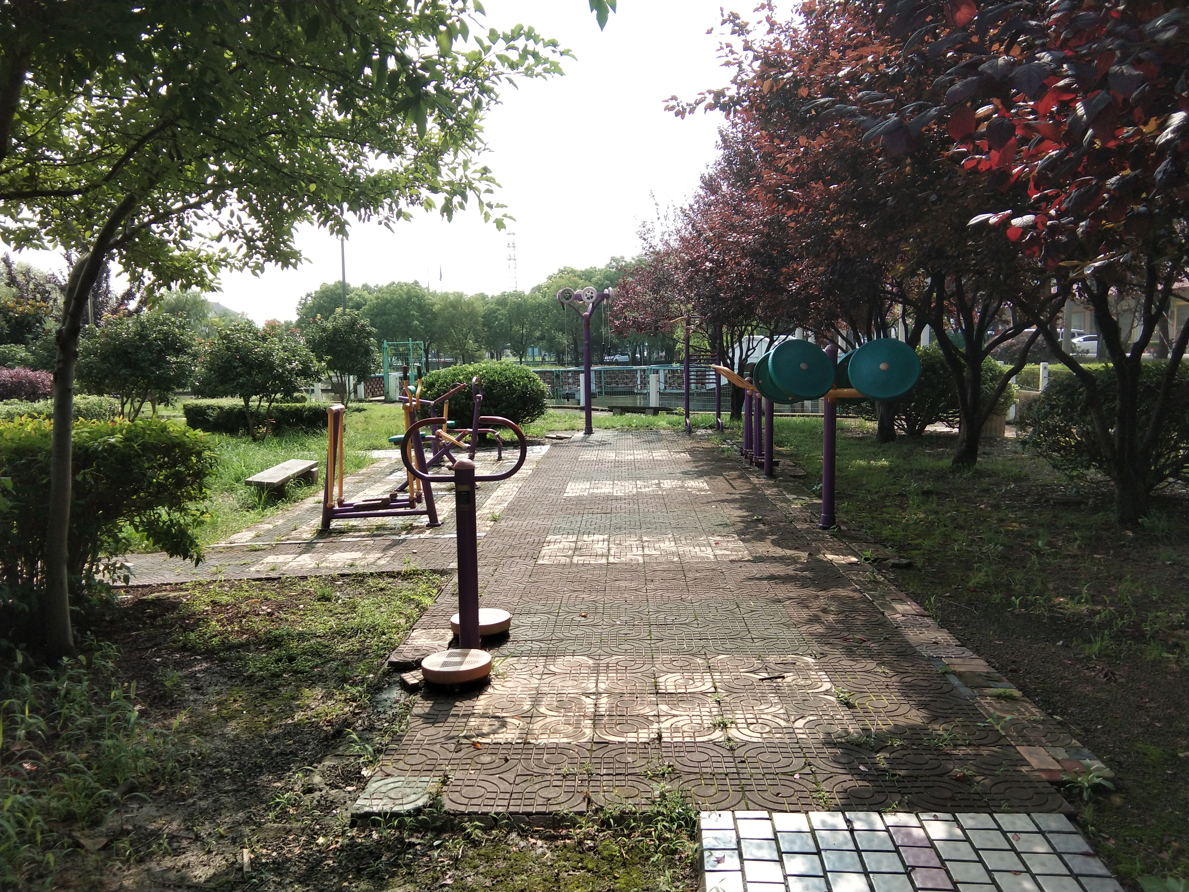 奉城鎮(zhèn)東新市村市民益智健身苑點