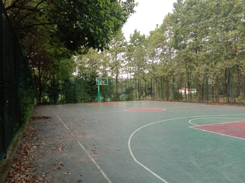 生態(tài)專項建設(shè)工程1.2標運動場