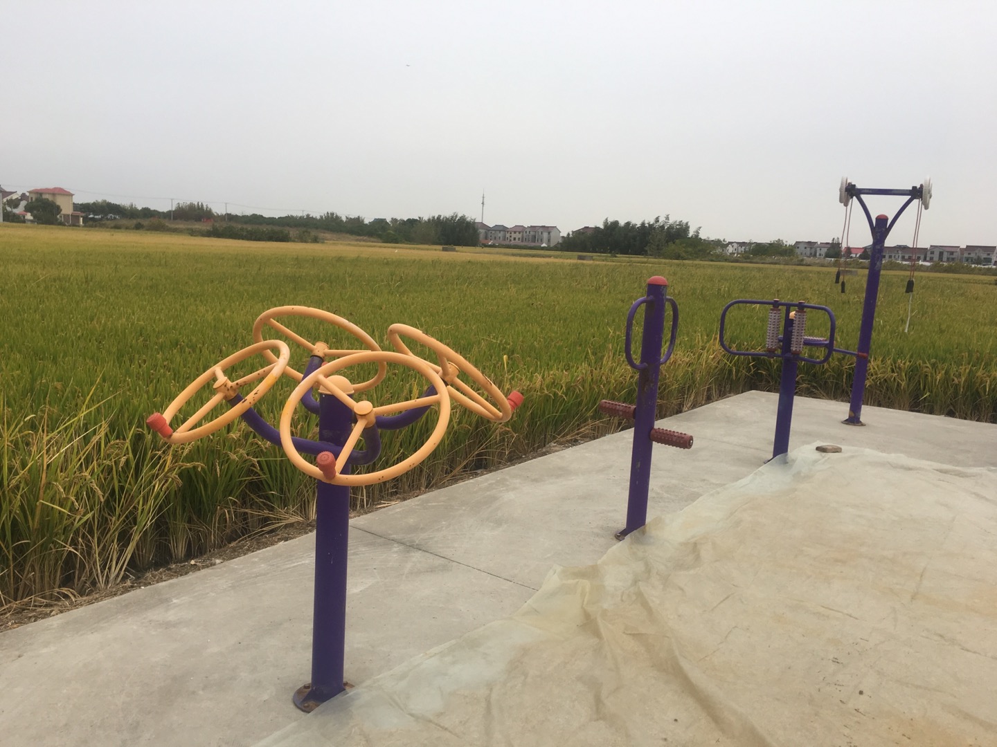 老港鎮(zhèn)欣河村民委員會鐵橋4組健身苑點