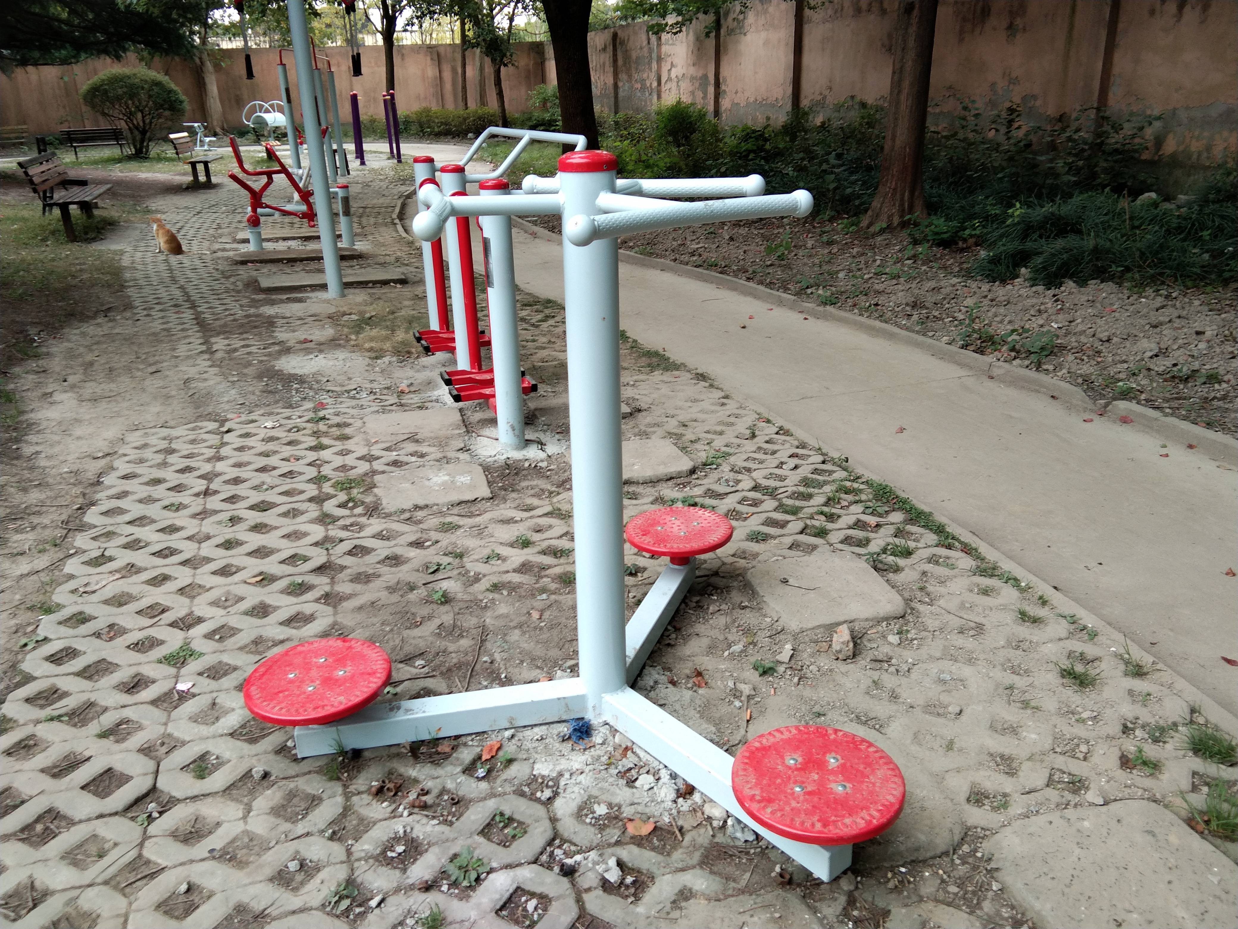 身體扭轉(zhuǎn)器 身體扭轉(zhuǎn)器