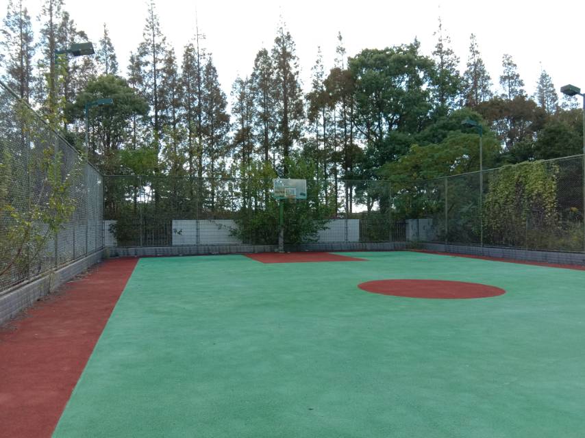 向化鎮(zhèn)公共球場(chǎng)