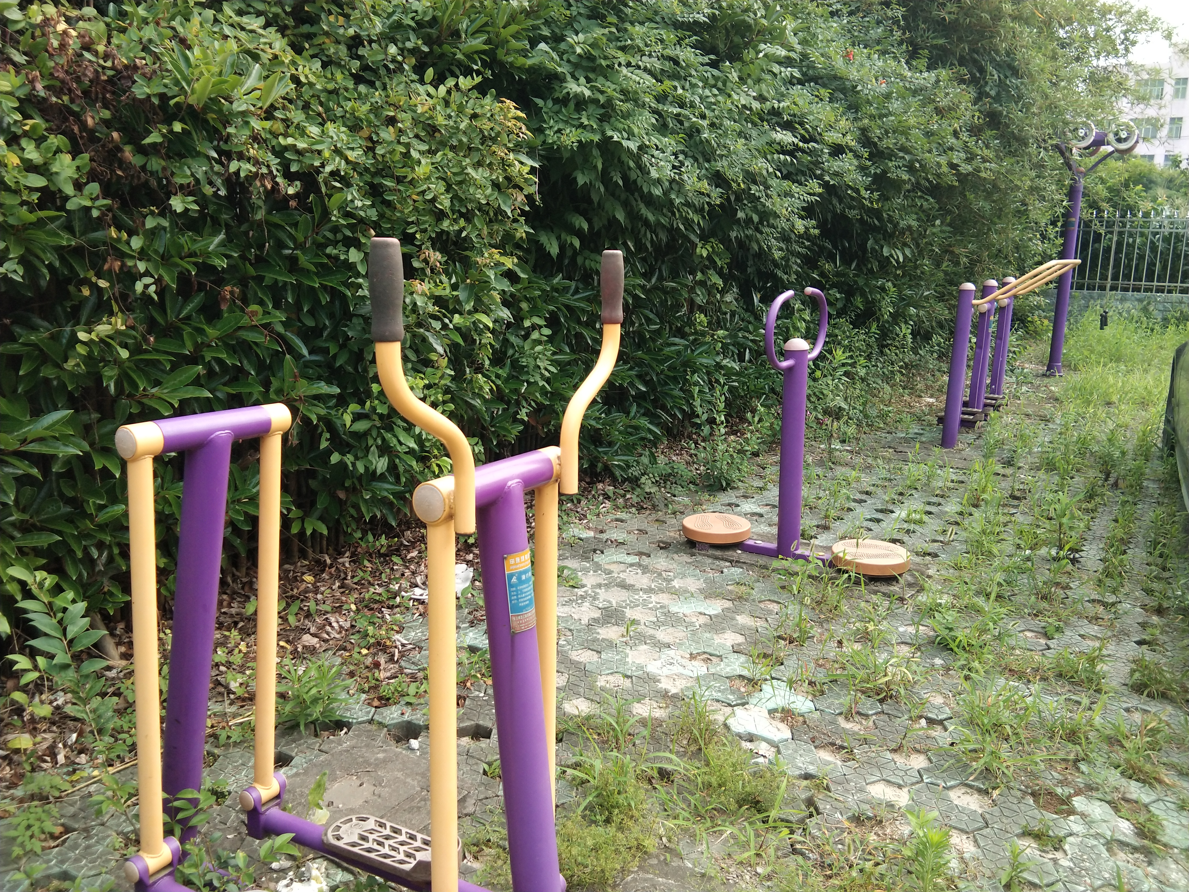 泰綠二區(qū)市民益智健身苑點