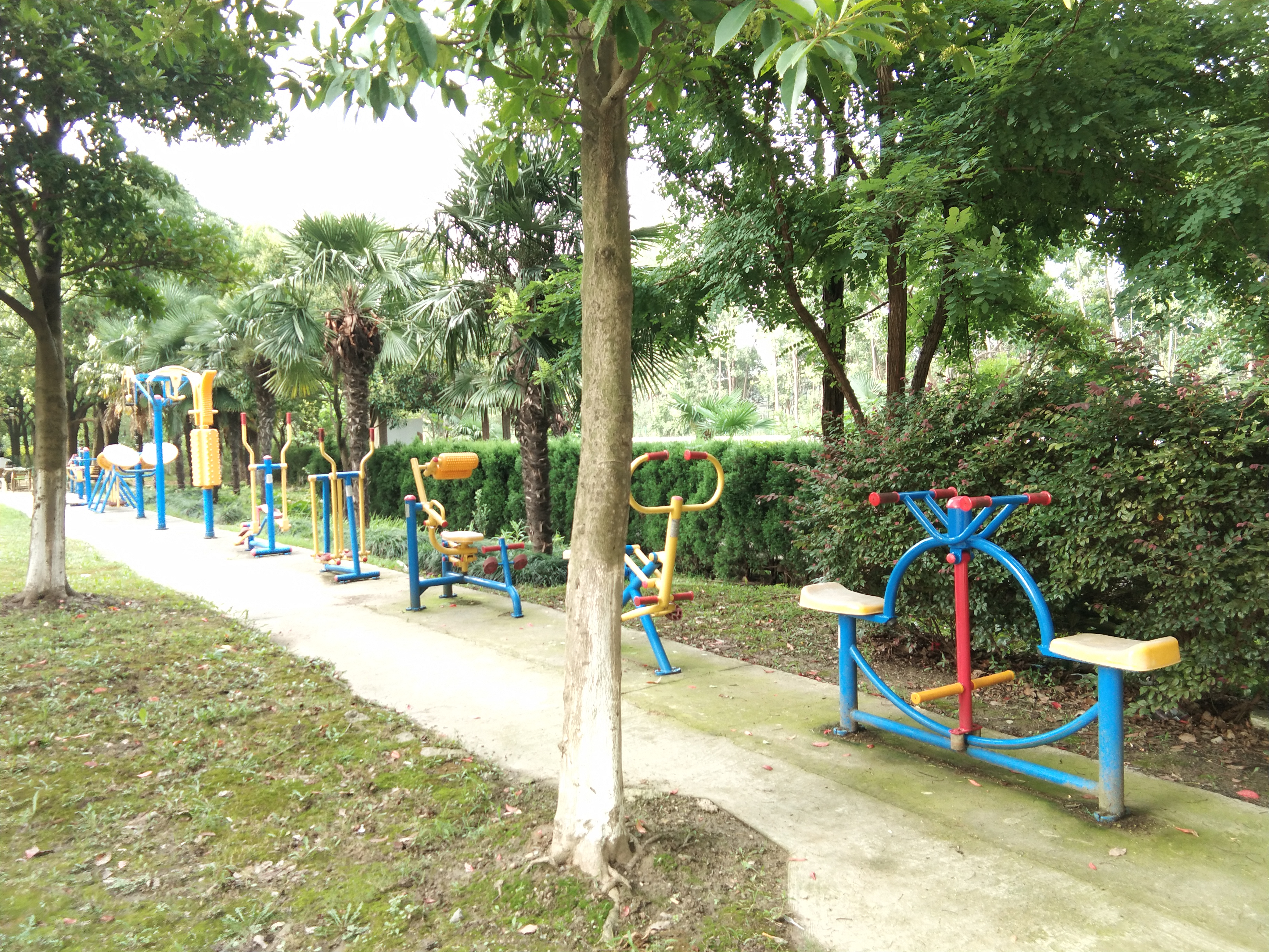 百合苑市民益智健身苑點（二）