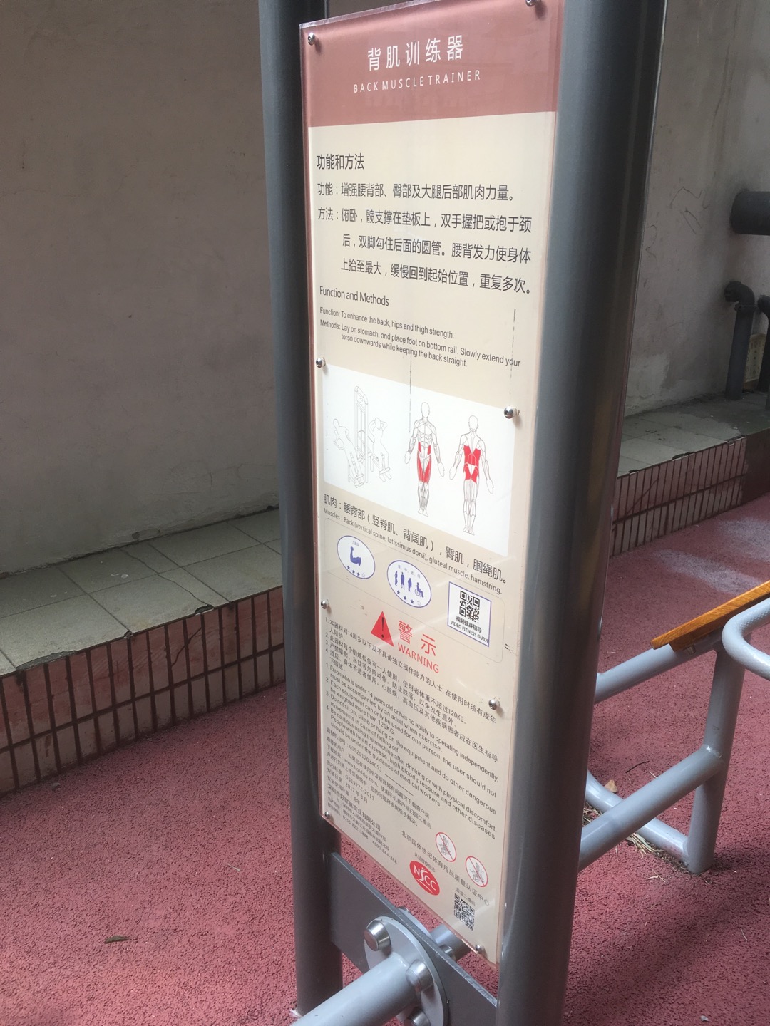 背腹肌訓(xùn)練器 背腹肌訓(xùn)練器