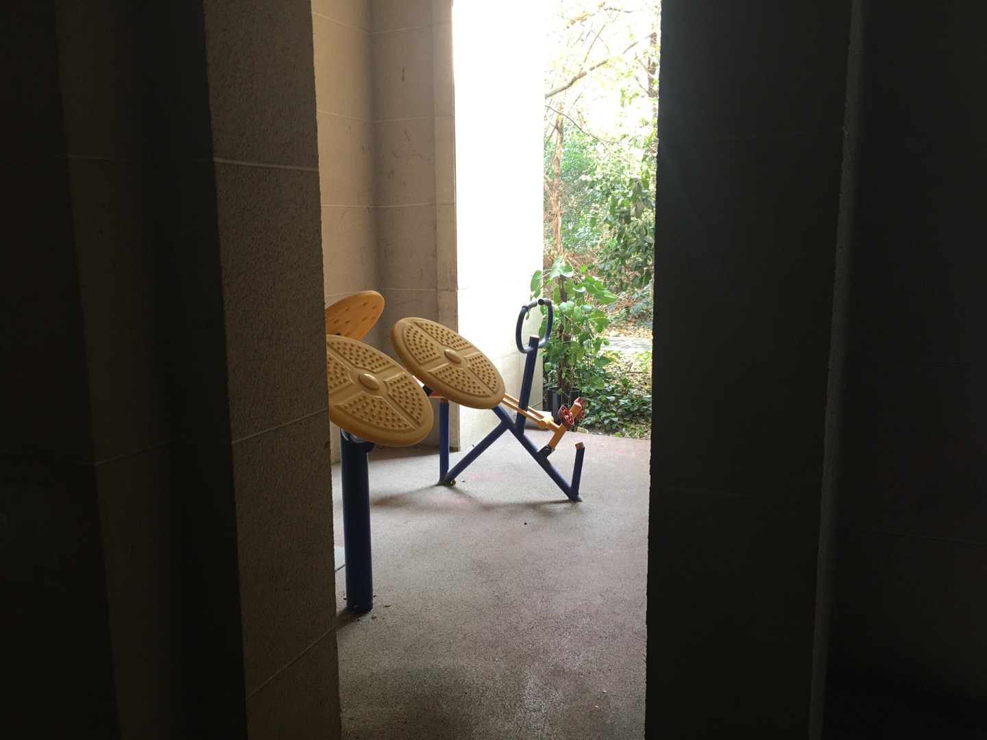 綠地臻品嘉園小區(qū)999弄2號(hào)樓底樓市民健身點(diǎn)