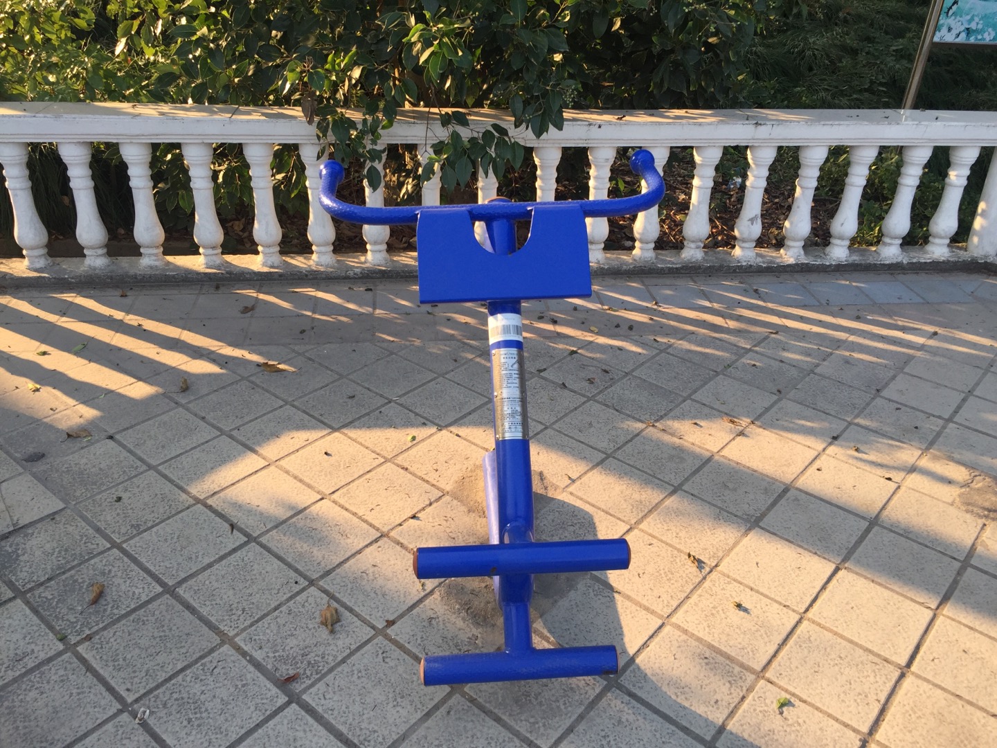 背肌訓(xùn)練器