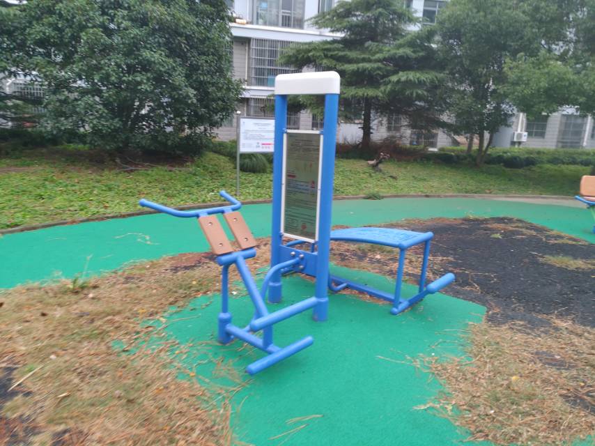 雙立柱腹背訓(xùn)練器