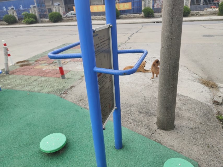 雙立柱扭腰器 雙立柱扭腰器