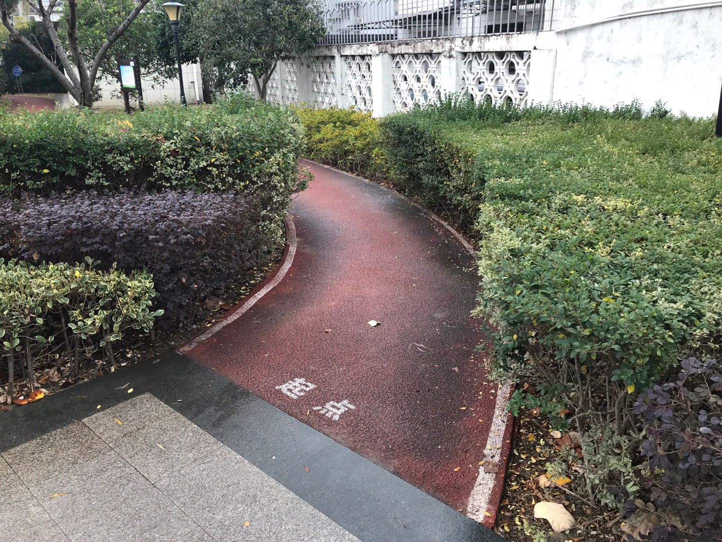 高昌路市民健身步道