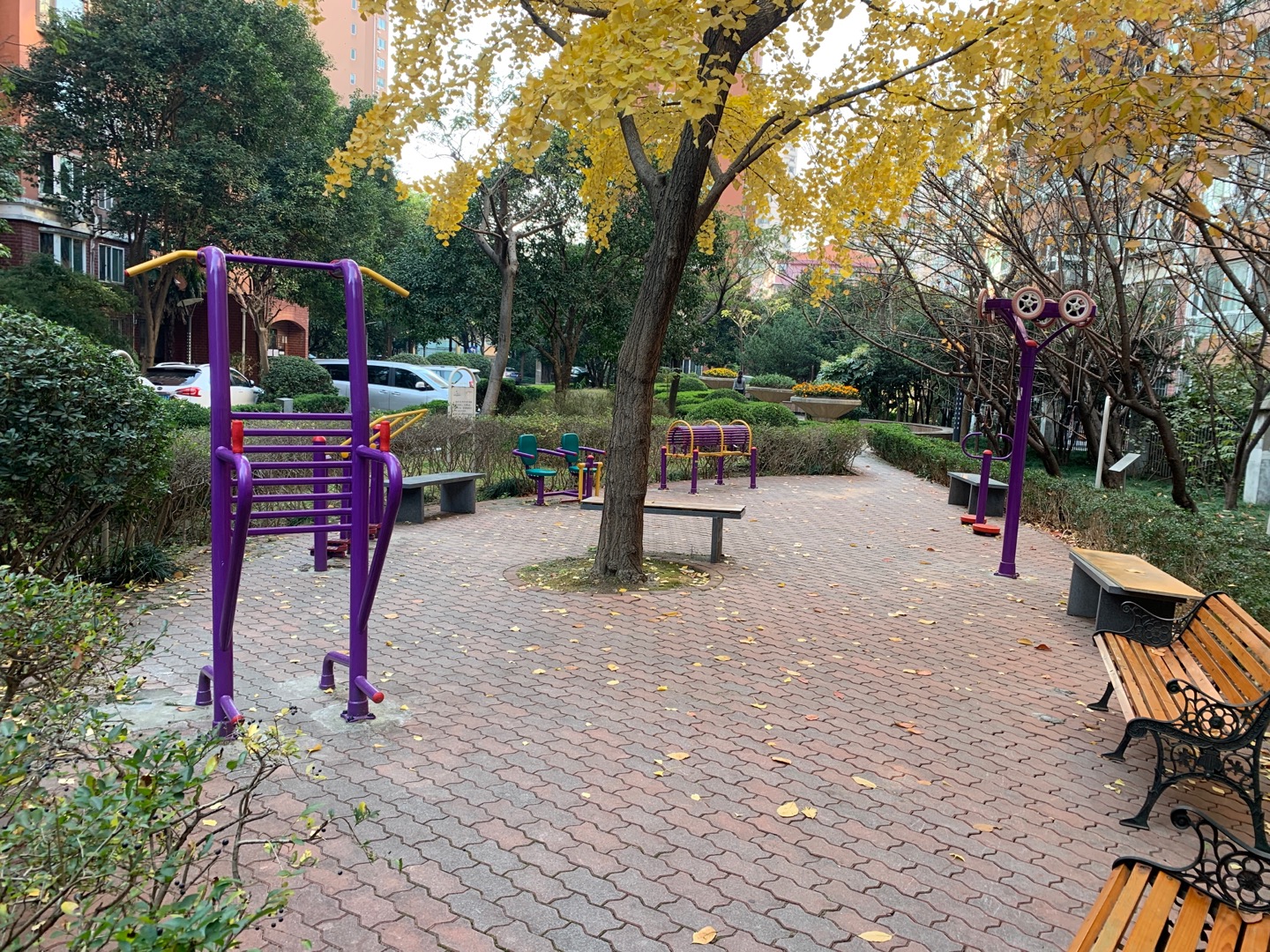 紫荊居委健身苑點