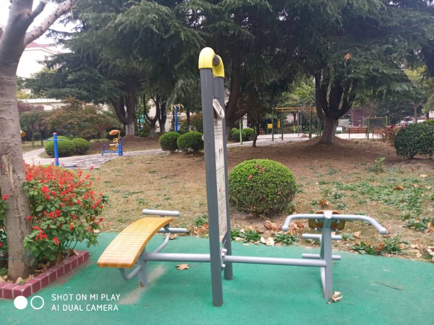 背腹肌訓(xùn)練器