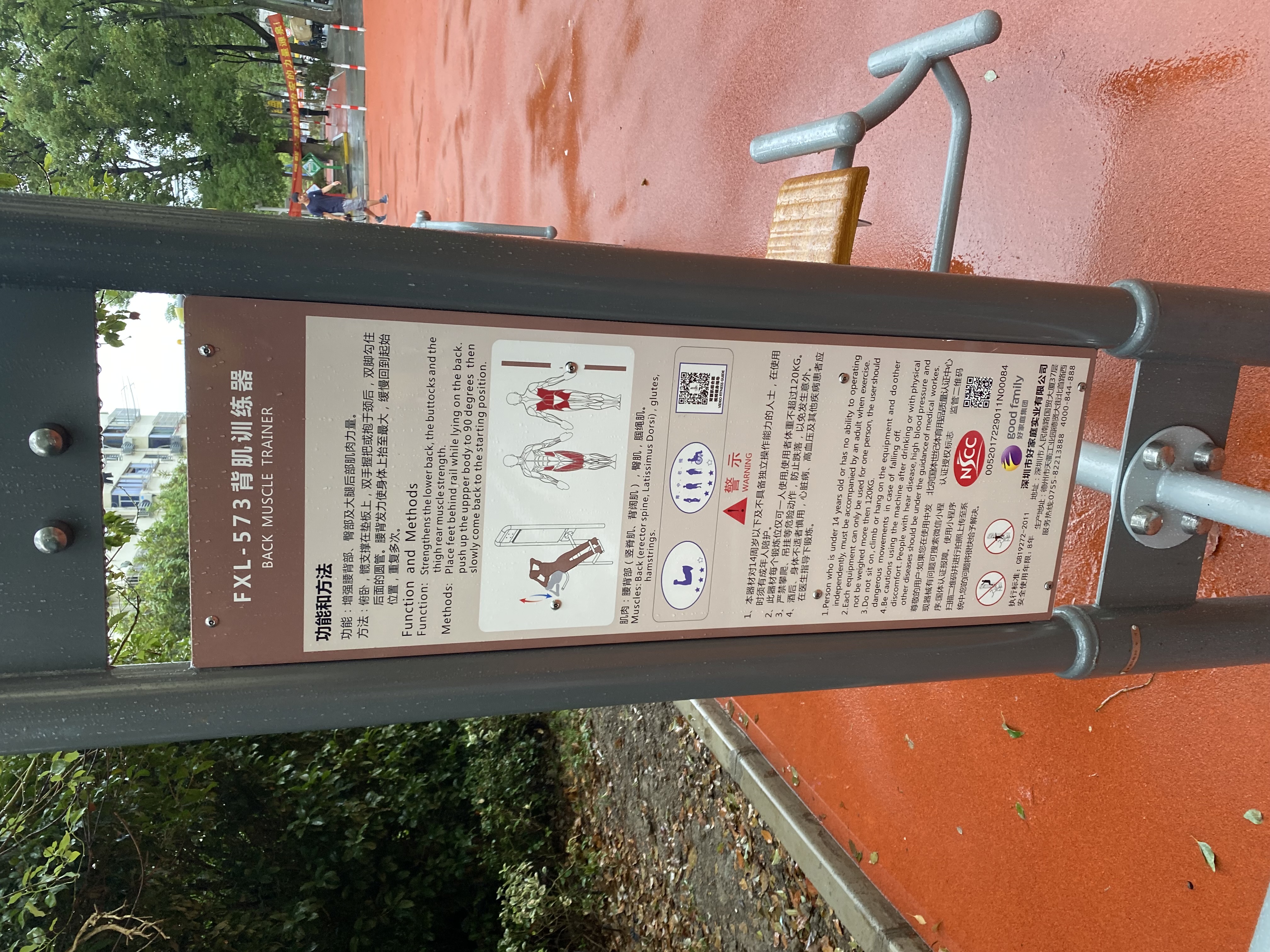 背腹肌訓(xùn)練器