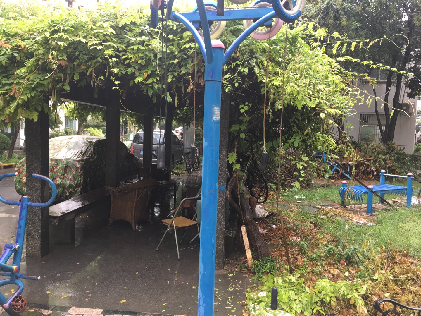 金湯社區(qū)健身苑點（2）