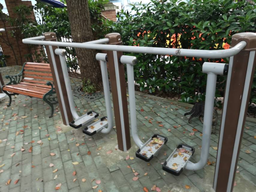 雙位太空漫步機