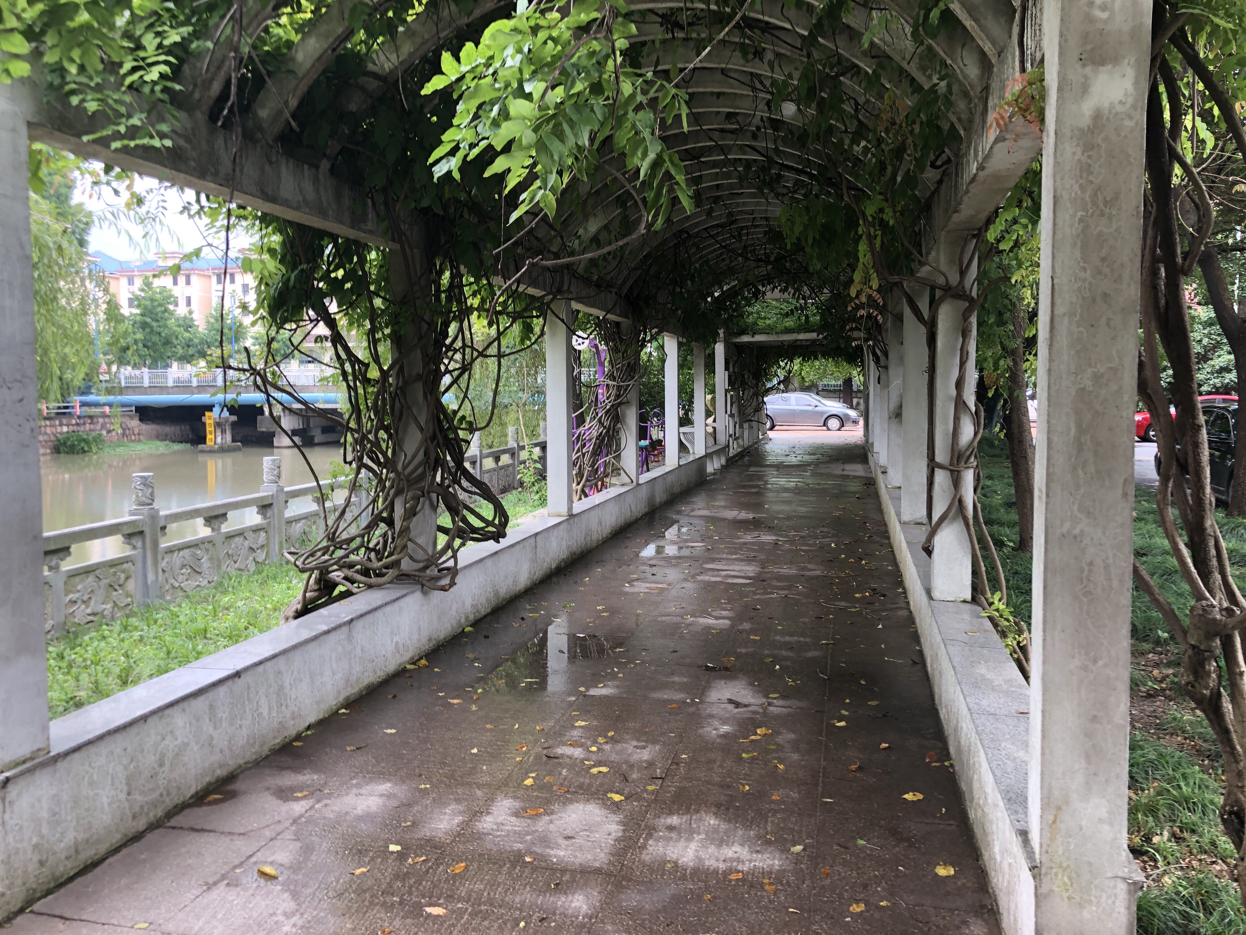 貝港一居健身點3