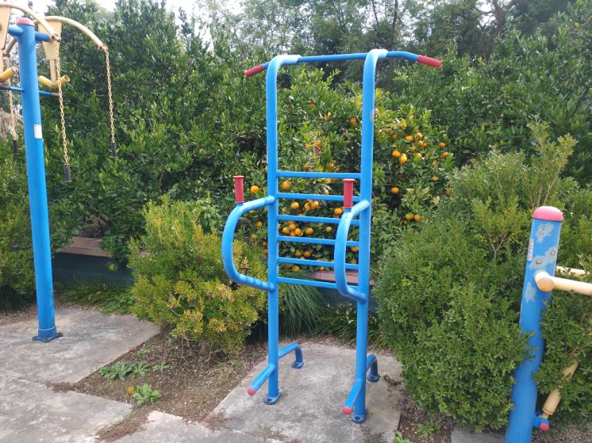 多功能訓(xùn)練器 多功能訓(xùn)練器