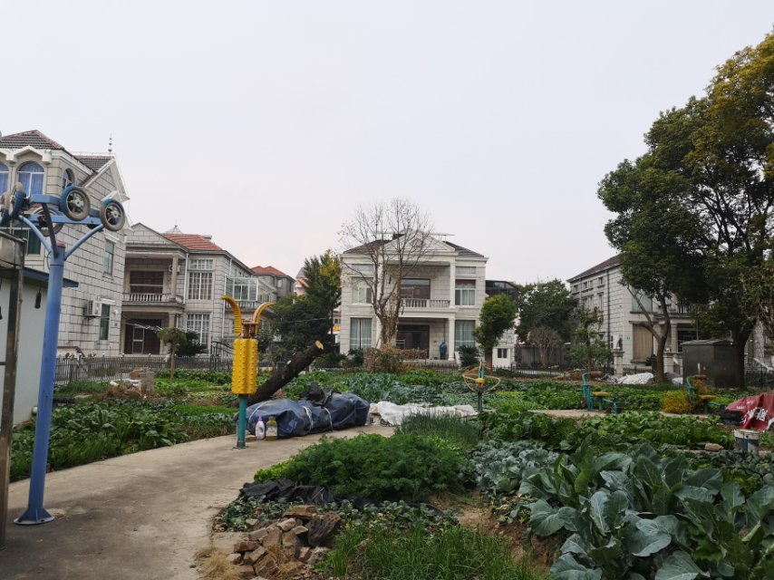 果園村健身點(diǎn)5