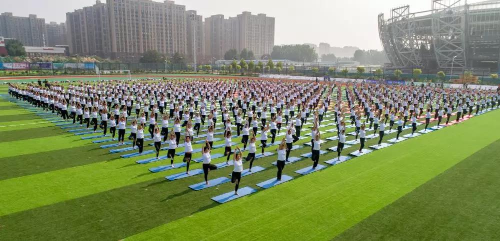 運(yùn)動場 運(yùn)動場