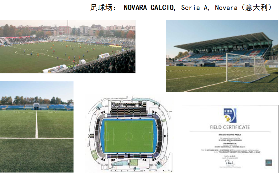 意甲Novara俱樂部的訓練場，F(xiàn)IFA2星