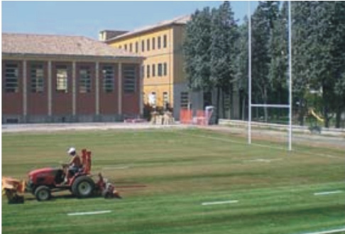 意大利瑪麗亞露奇亞橄欖球場-帕爾馬（國際案例）