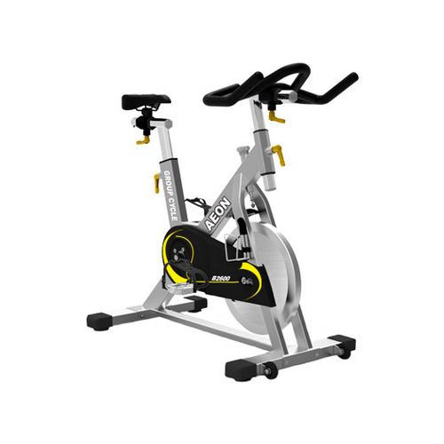 正倫B2600商用動(dòng)感單車(chē)