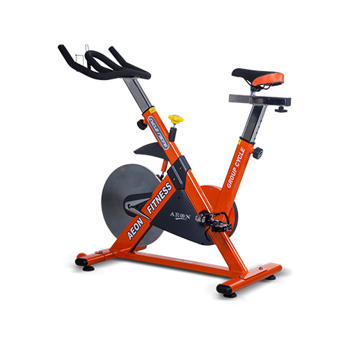 正倫B5家用動(dòng)感單車(chē)