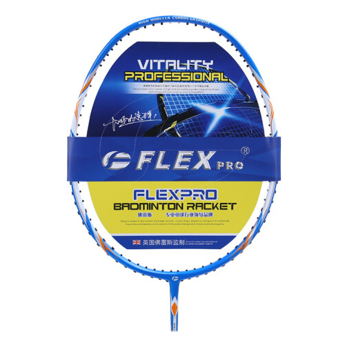 佛雷斯FB-10羽毛球拍圖1