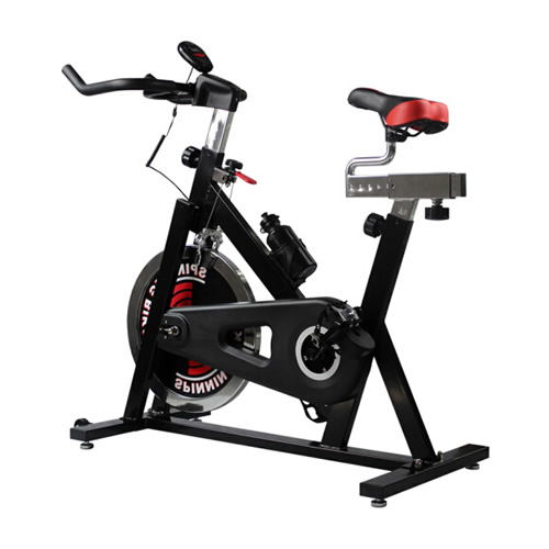 雷克P00104家用動(dòng)感單車