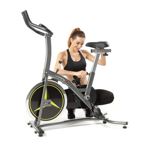 奧力龍AL802-1家用健身車(chē)圖1