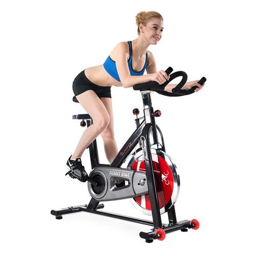 SUNNY SF-B1002動(dòng)感單車圖1