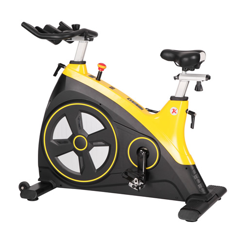 康樂佳K8929家用動(dòng)感單車