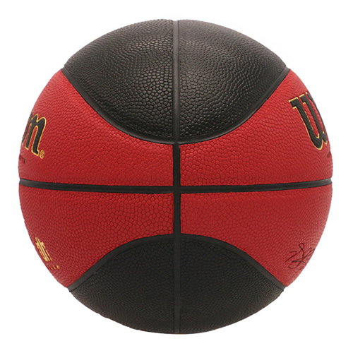 威爾勝羅斯少年版5號(hào)籃球