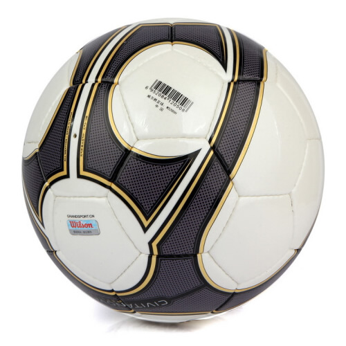 威爾勝歐洲風足球圖1