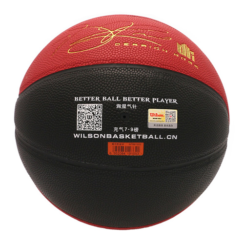 威爾勝羅斯少年版5號(hào)籃球