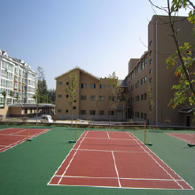 利達(dá)硅pu籃球場地坪材料硅pu籃球場地坪漆施工湖南硅pu球場材料廠家、硅PU球場效果設(shè)計(jì)價(jià)格、籃球場包工包料施工