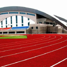 利達(dá)廠家供應(yīng)、混合型塑膠跑道施工、復(fù)合型塑膠跑道材料廠家