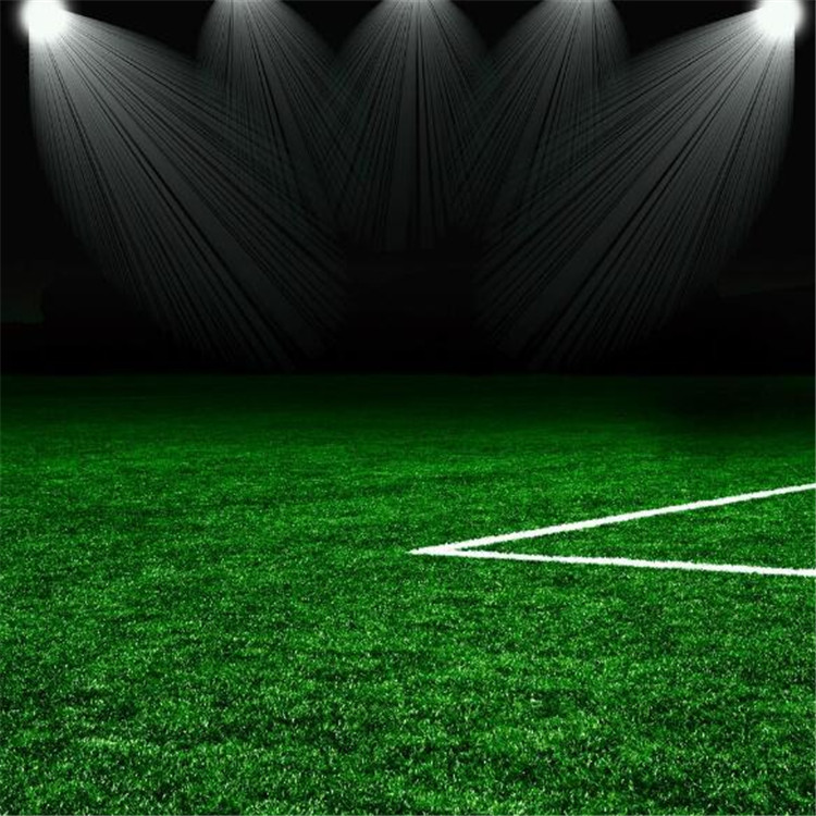 泰州足球場人造草坪,人造草坪操場,戶外人造草坪