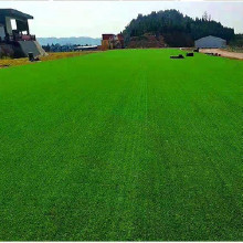 足球場人造草坪、幼兒園人造草坪、門球場人造草坪、人造草坪生產(chǎn)、人造草坪定制質(zhì)量可靠廠家定制歡迎咨詢