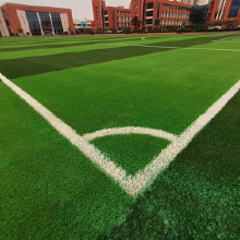 迅建體育  人造草坪  人造草坪廠家  人造草坪鋪設  人造草坪生產(chǎn)廠家